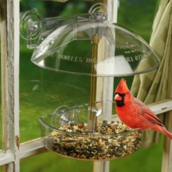 Window Bird Feeder